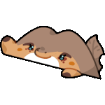 OC Gecko Bongo