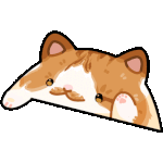 IRL Pet Cat Bongo
